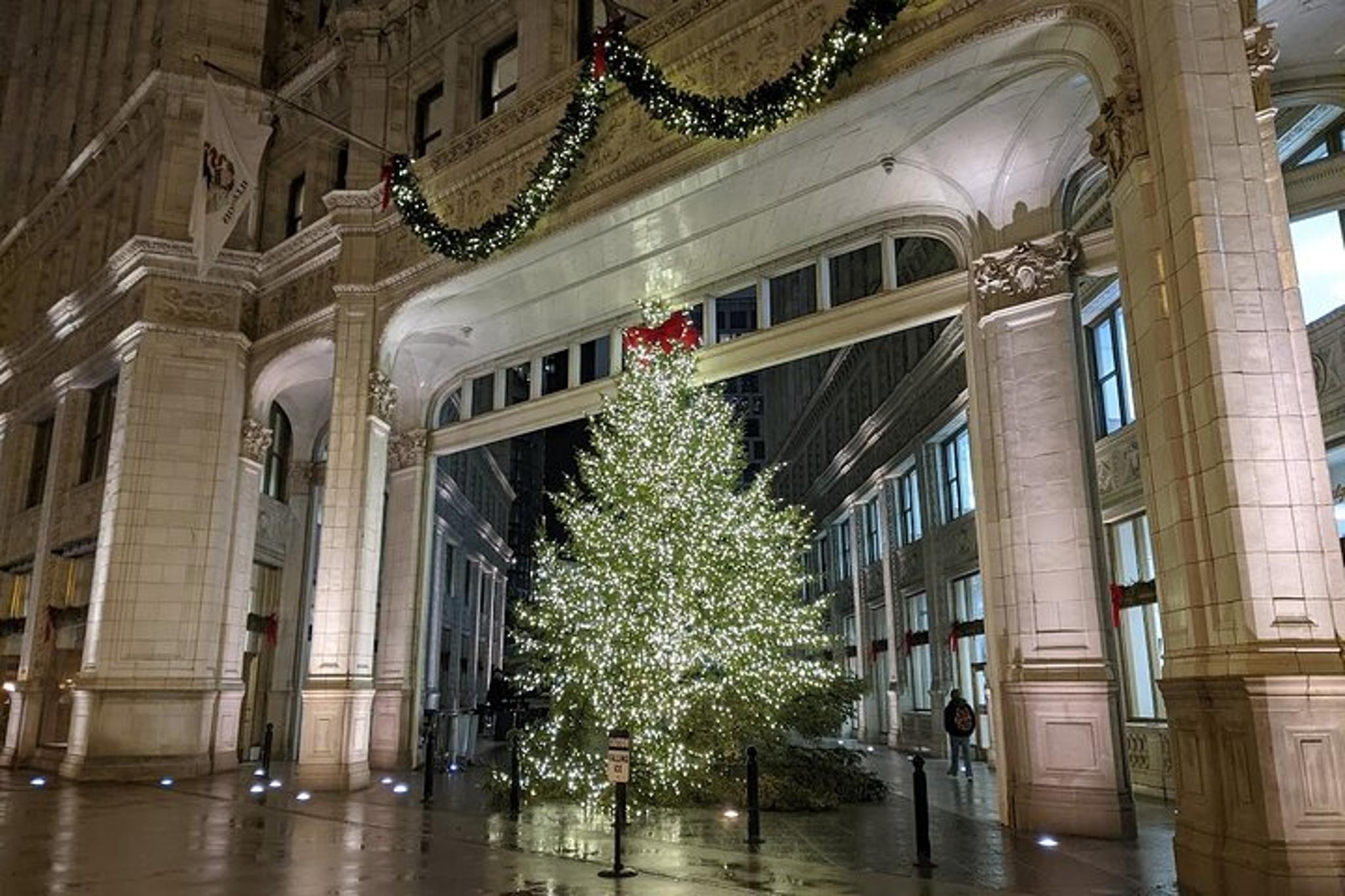 Chicago Christmas Tree Crawl - Image 6
