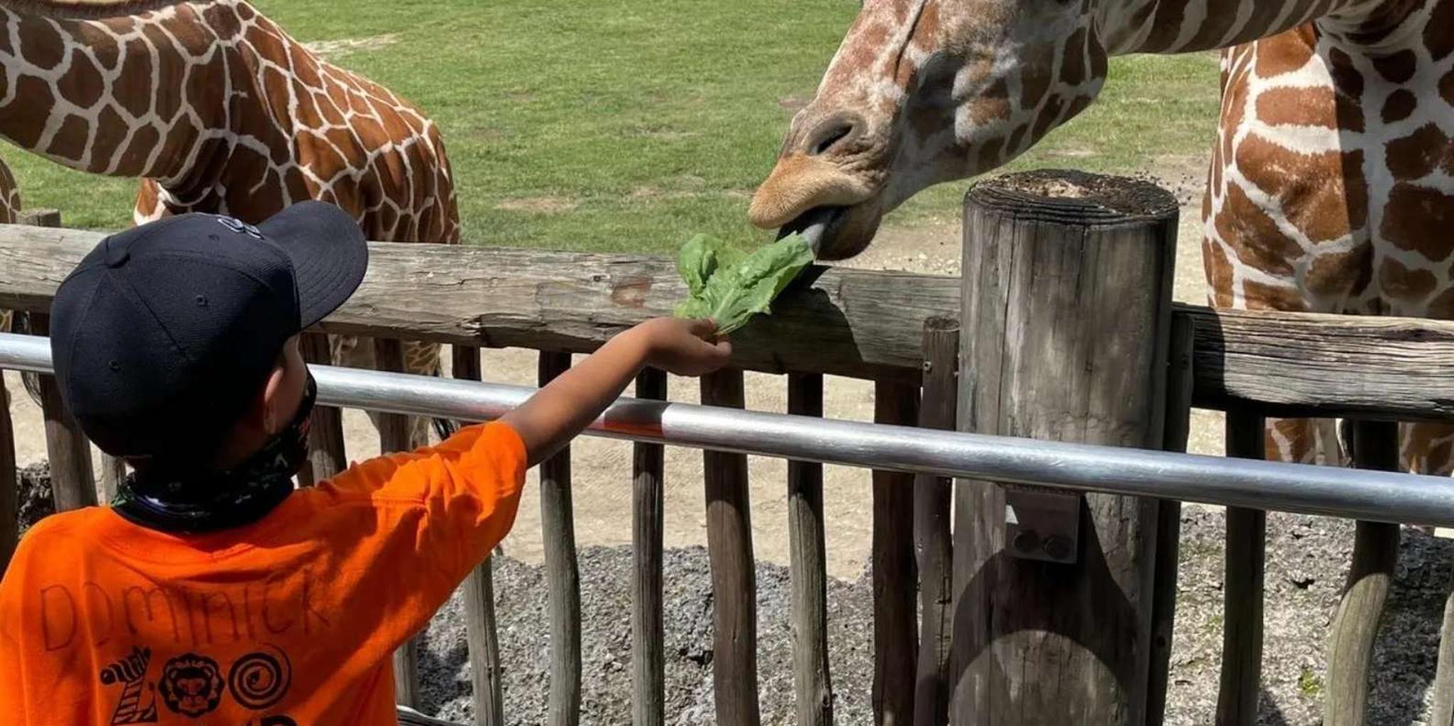 Miami Attractions Pass with eSIM & Airport Transfer - Image 2