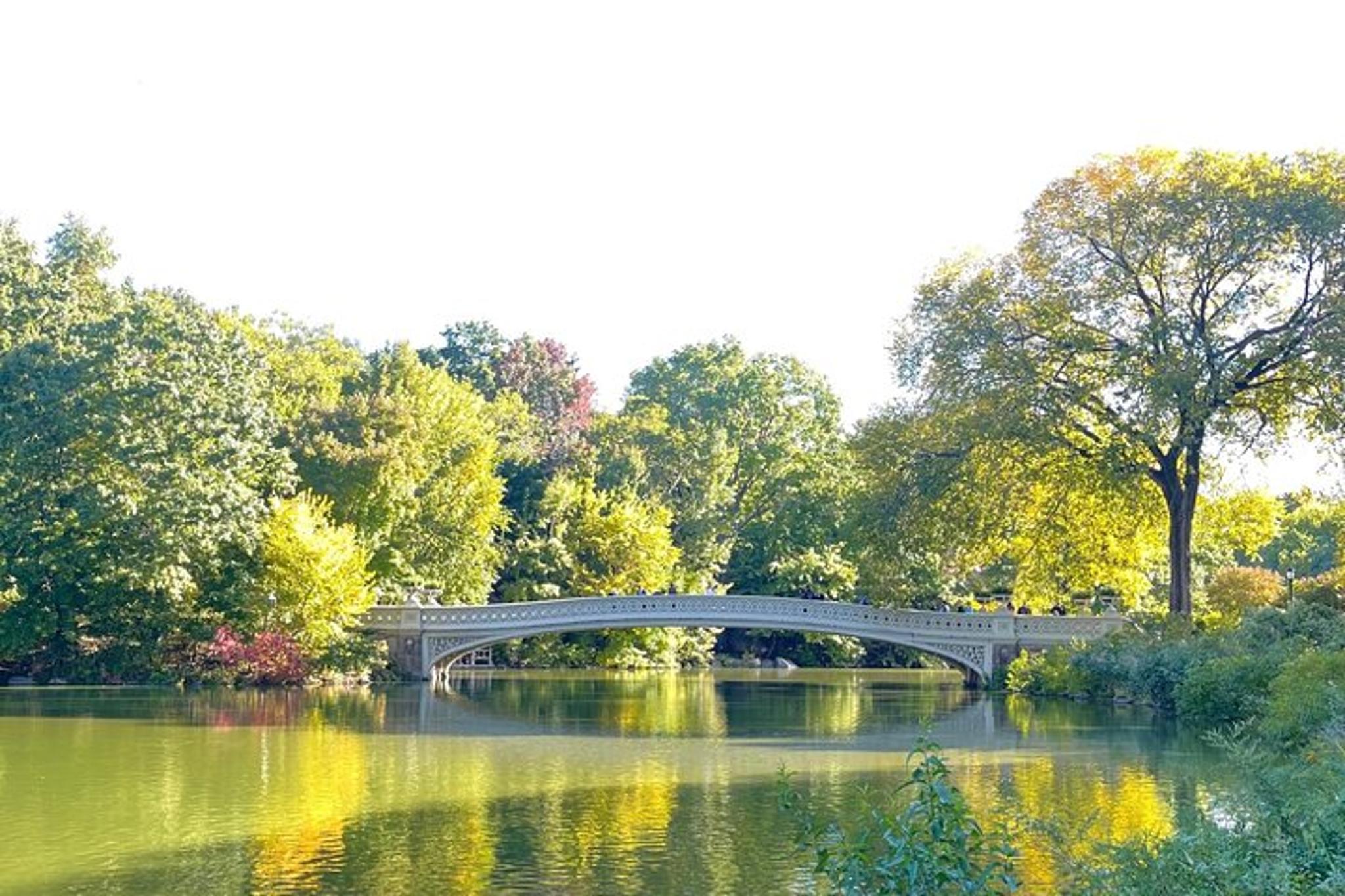 New York Central Park Pedicab Tour - Image 6