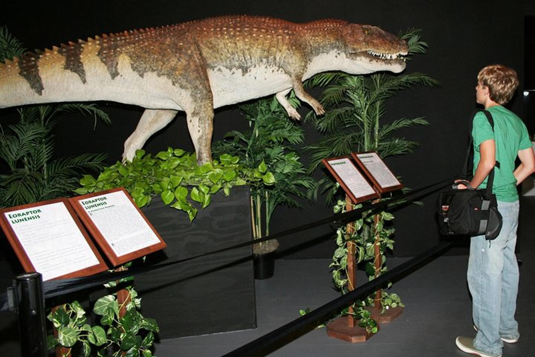 Branson Dinosaur Museum Admission - Image 1