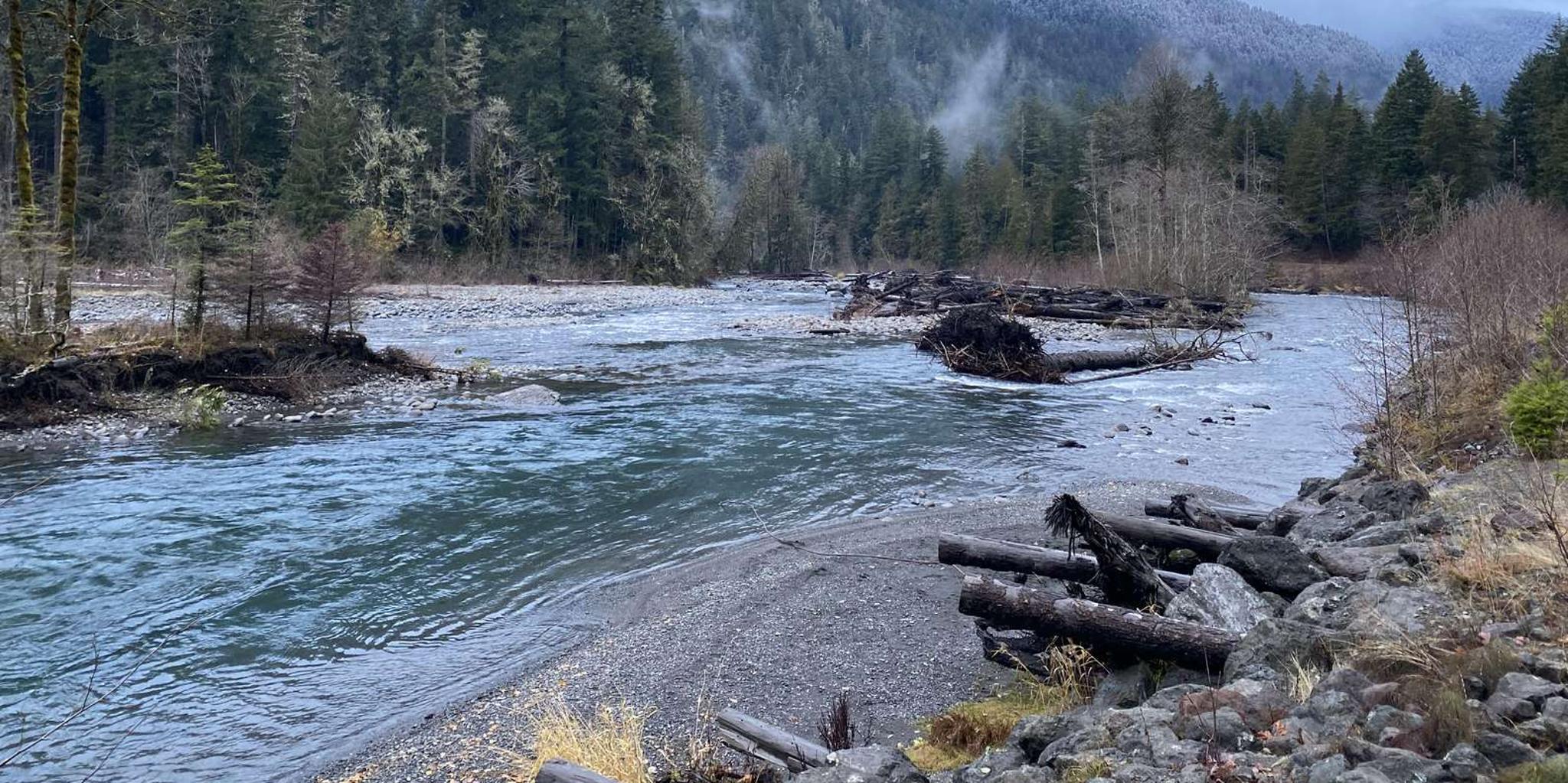 Olympic National Park Half-Day Tour
