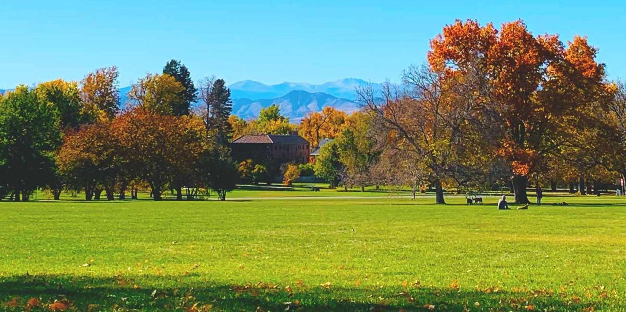 Denver City Highlights Tour - Image 2