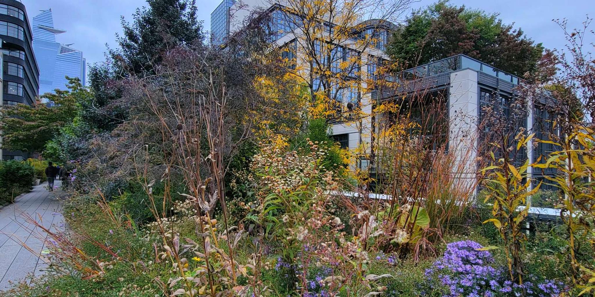 New York City High Line Walking Tour - Image 6