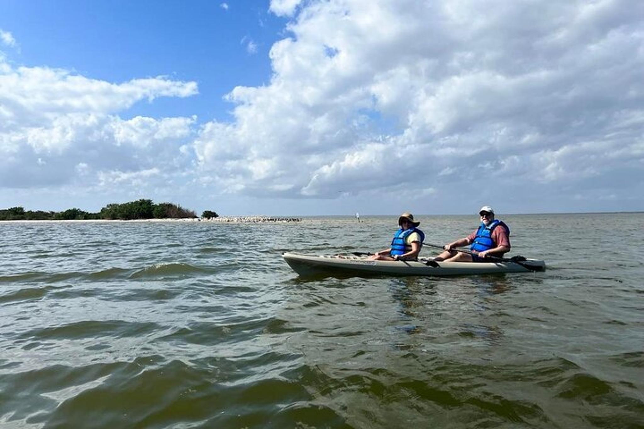 Space Coast Manatee and Coastal Wildlife Kayak Tour