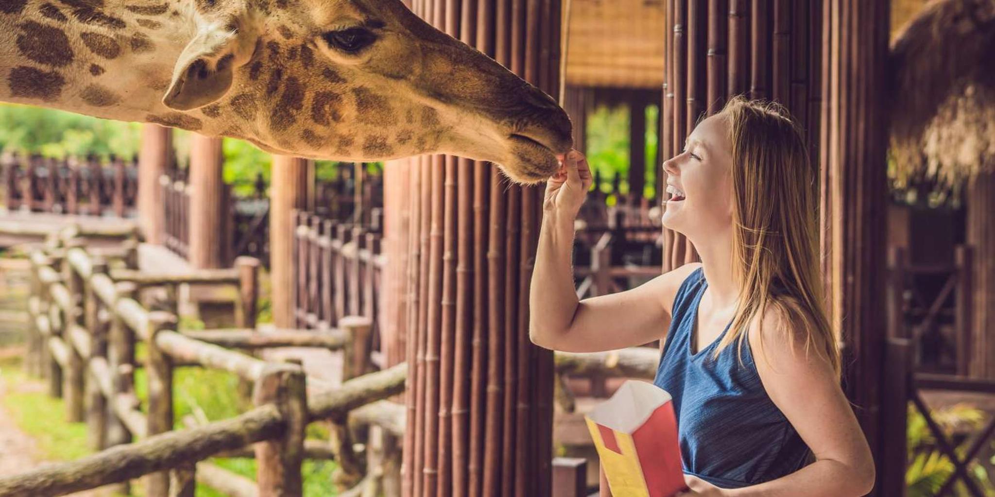 New York Bronx Zoo Tour with Private Transfers - Image 2