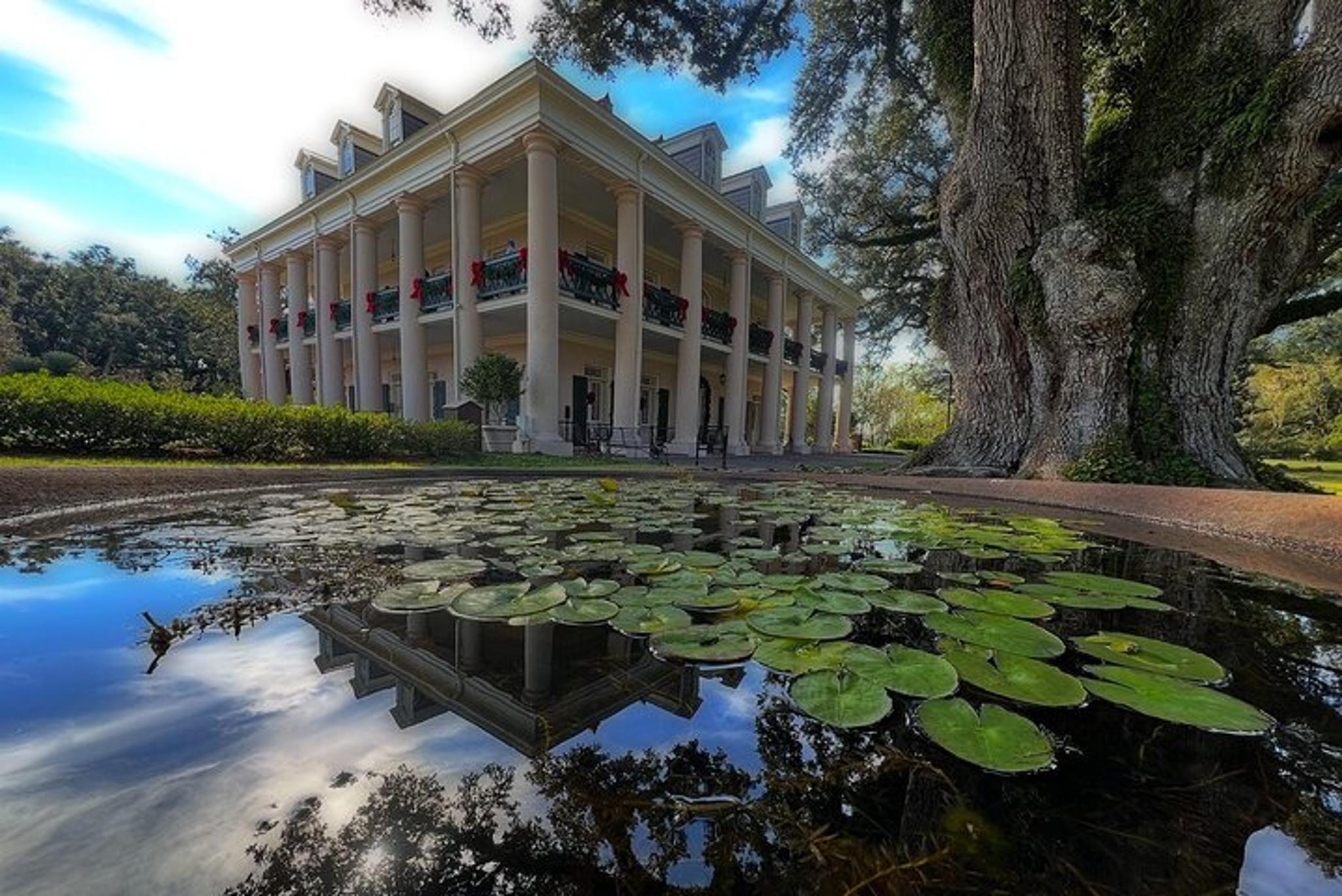 New Orleans Plantation and Kayak Swamp Tour - Image 3