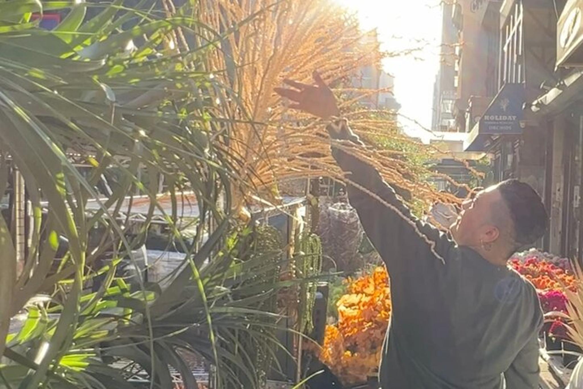 New York Flower Tour - Image 3