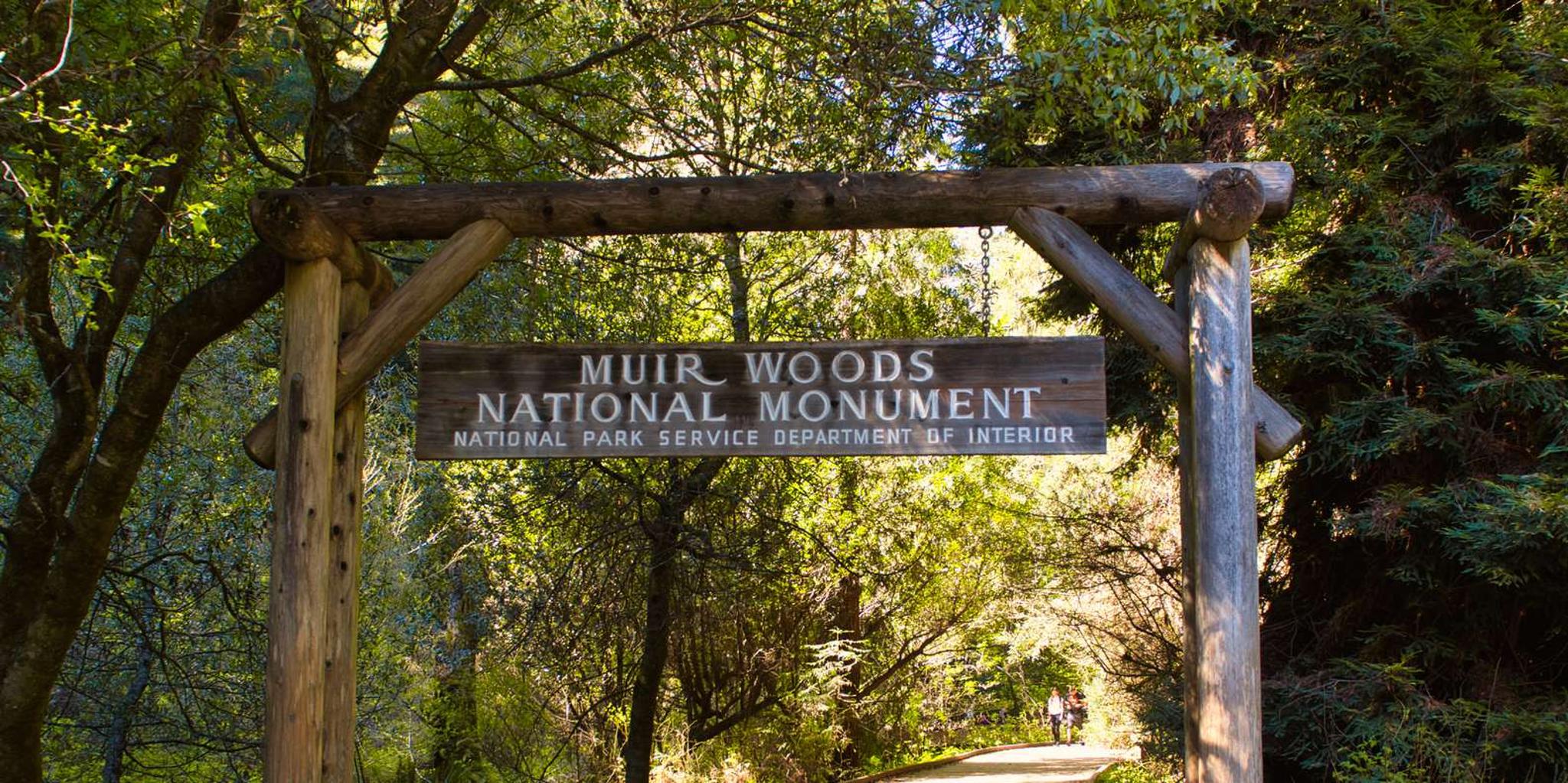 San Francisco Muir Woods and Golden Gate Private Tour