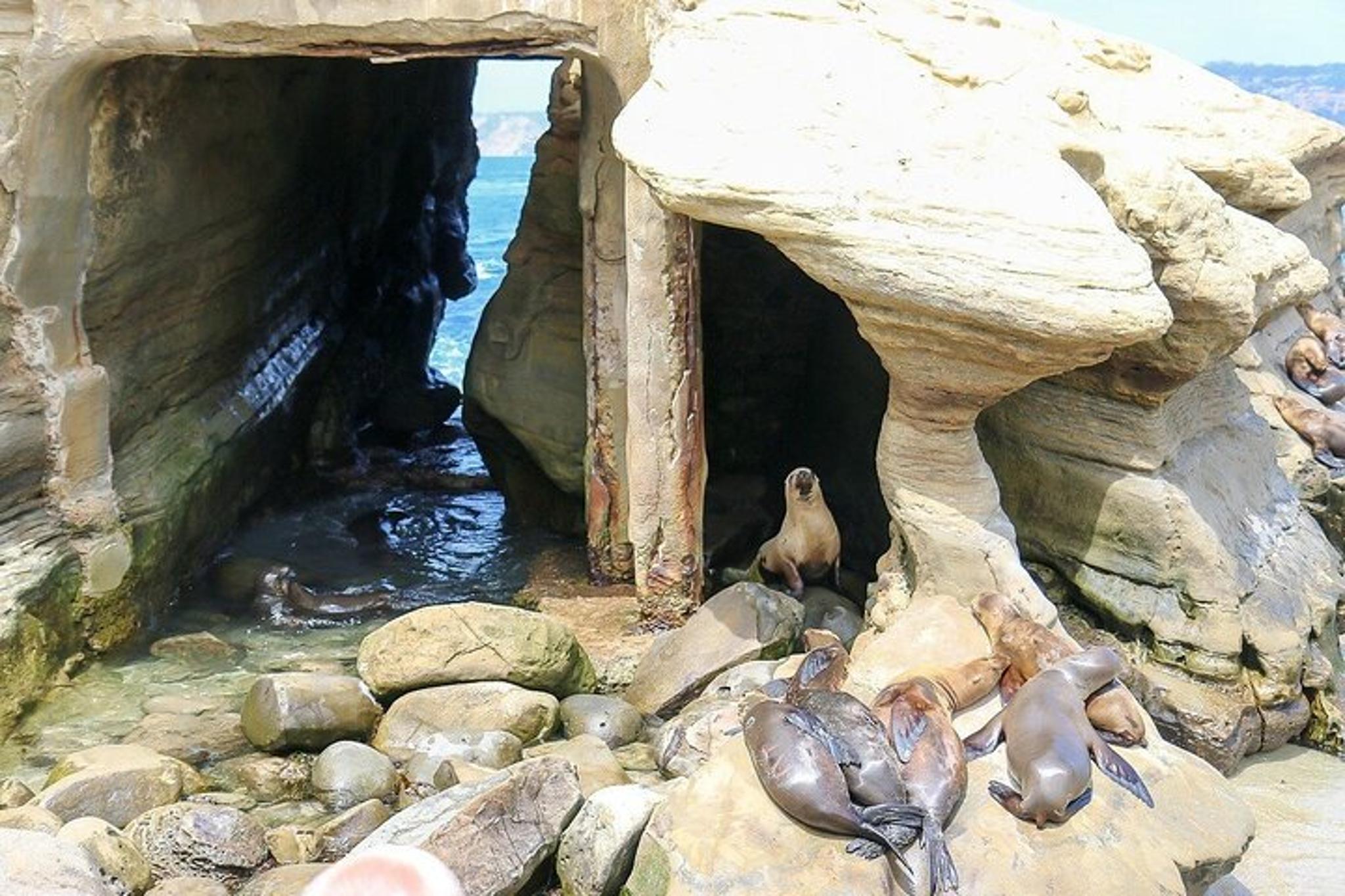 San Diego Day Tour - Image 4