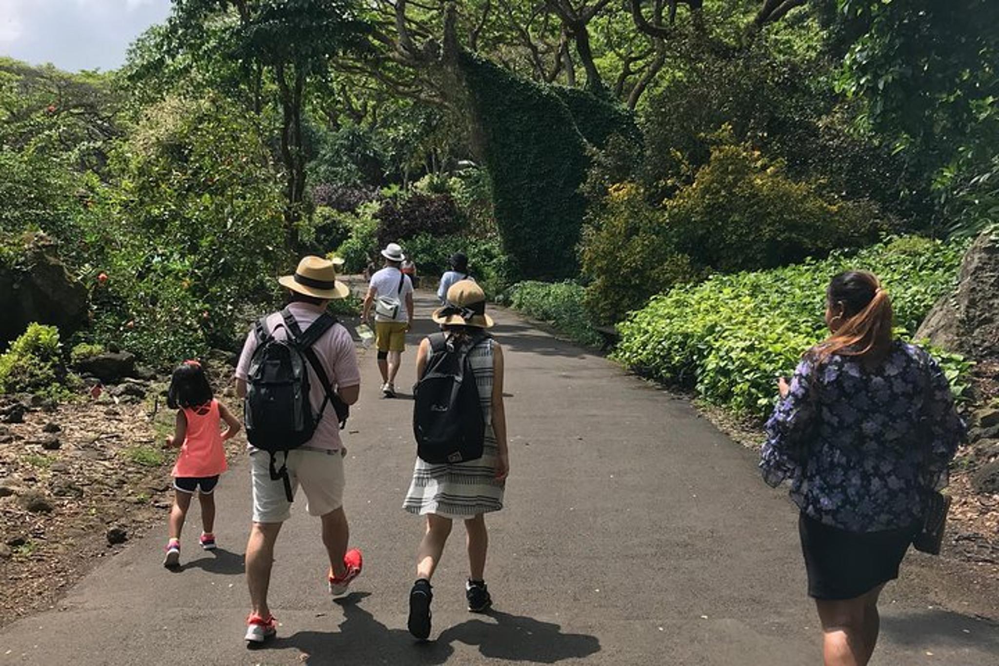 Oahu North Shore Tour with Waimea Falls Swim - Image 2