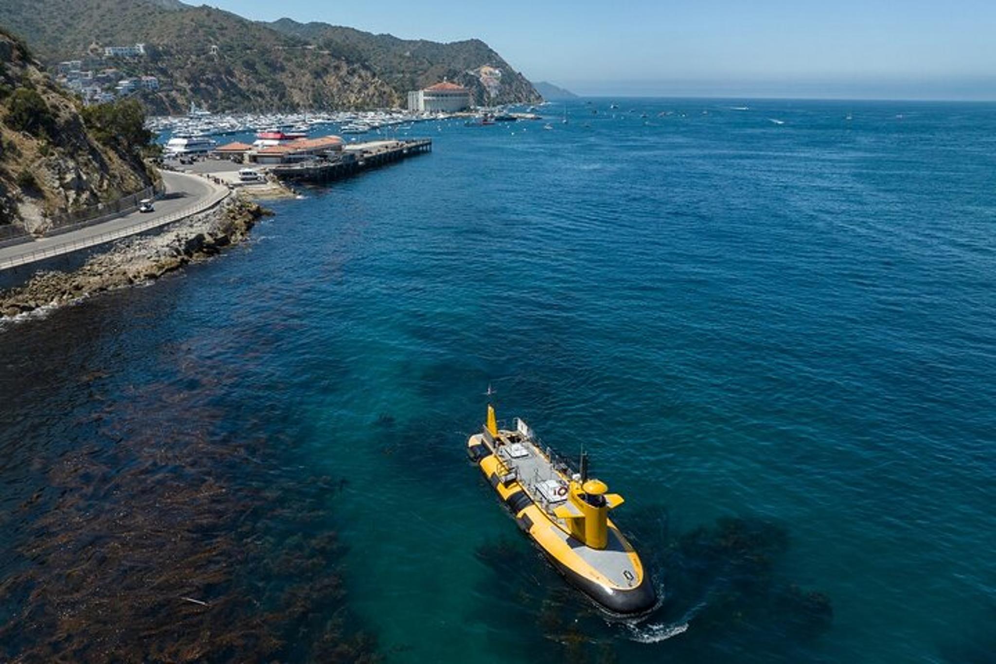 Avalon Semi-Submarine Tour of Catalina Island