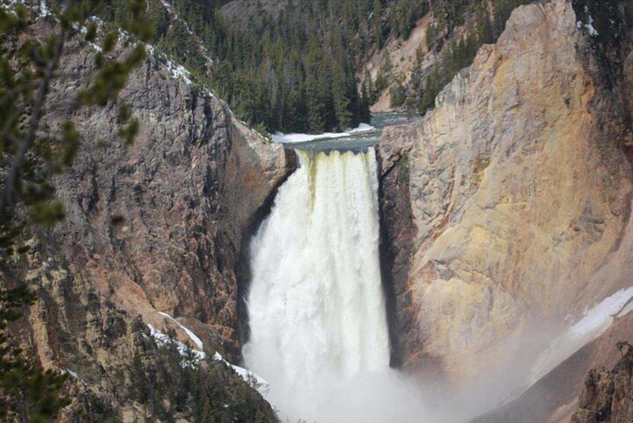 Jackson Hole Yellowstone Wildlife Scenic Day Tour - Image 2