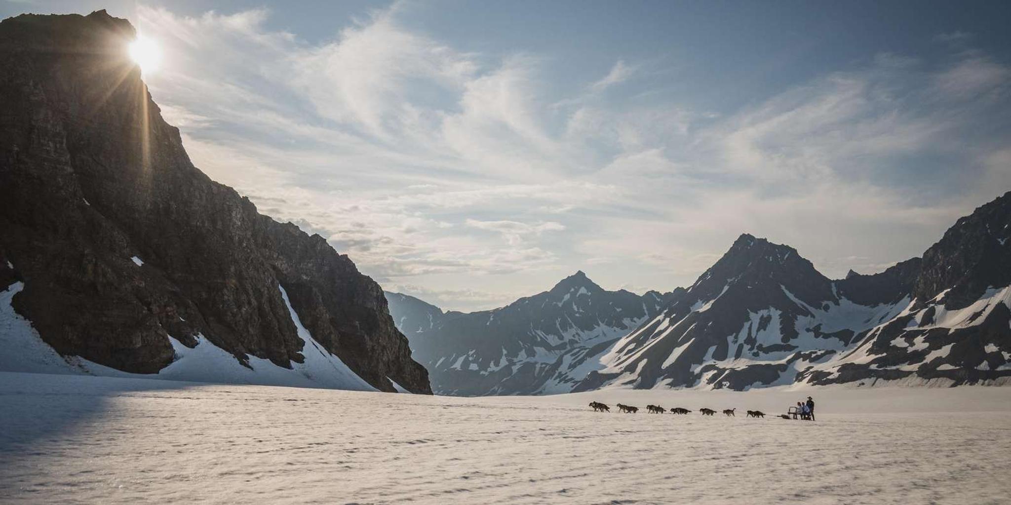 Seward Helicopter Glacier Dog Sledding Adventure 1.5 hr - Image 6