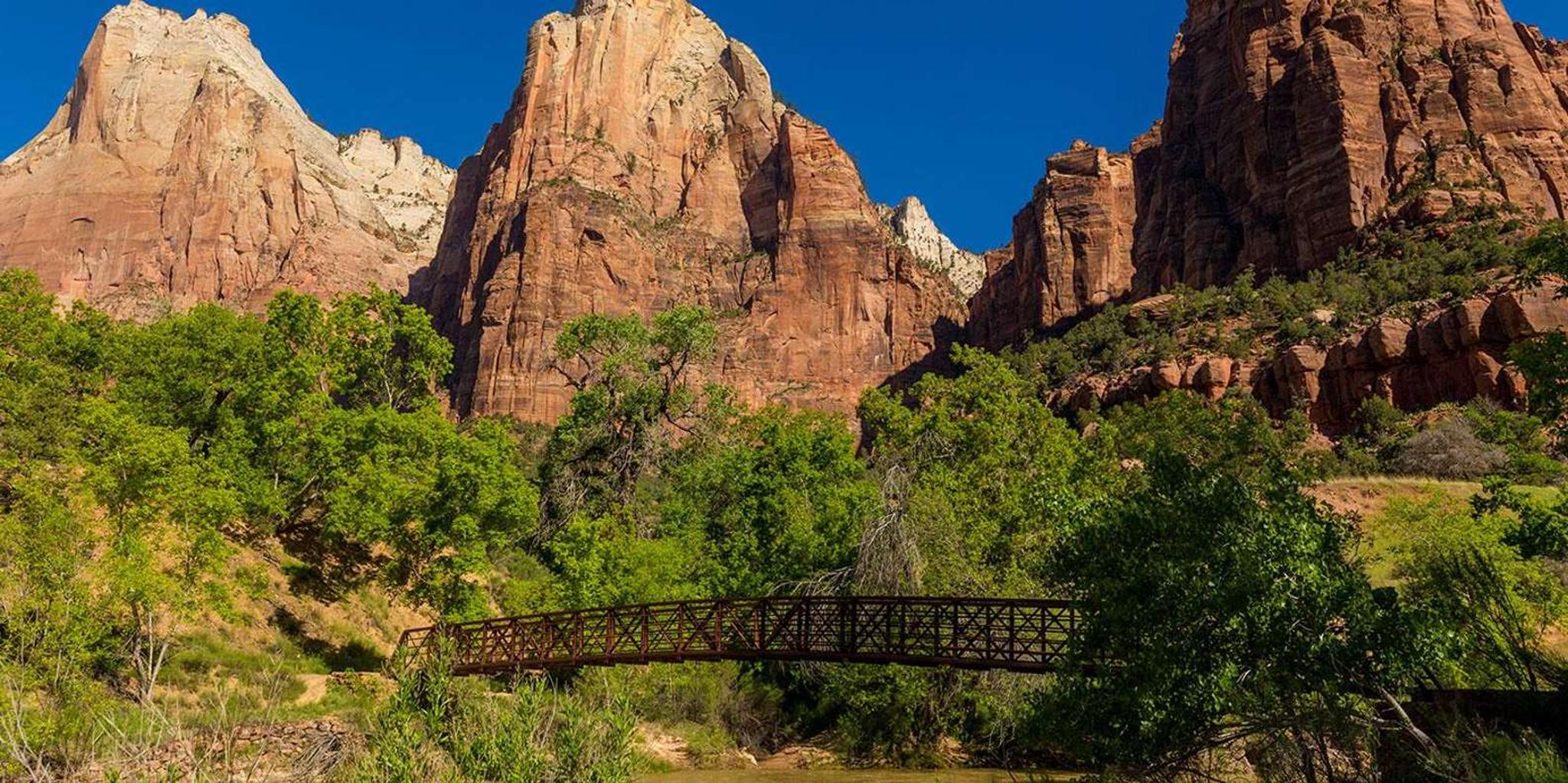 Las Vegas Zion National Park Guided Tour with Lunch - Image 5