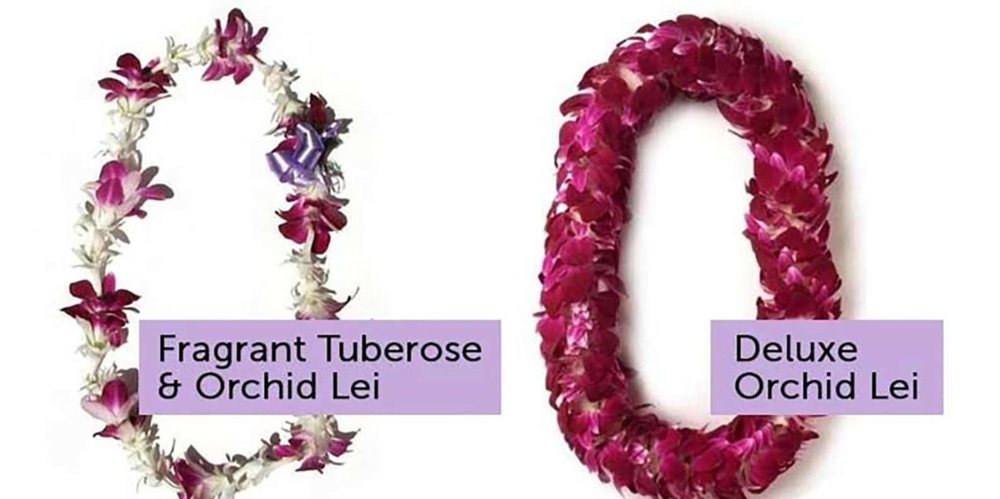 Kona Airport Lei Greeting - Image 5