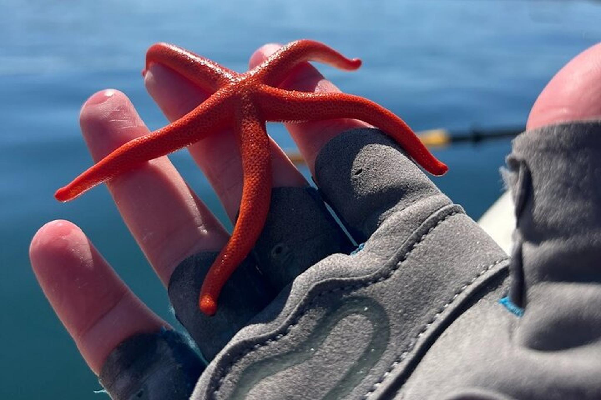 Friday Harbor Family Paddle and Hike - Image 3