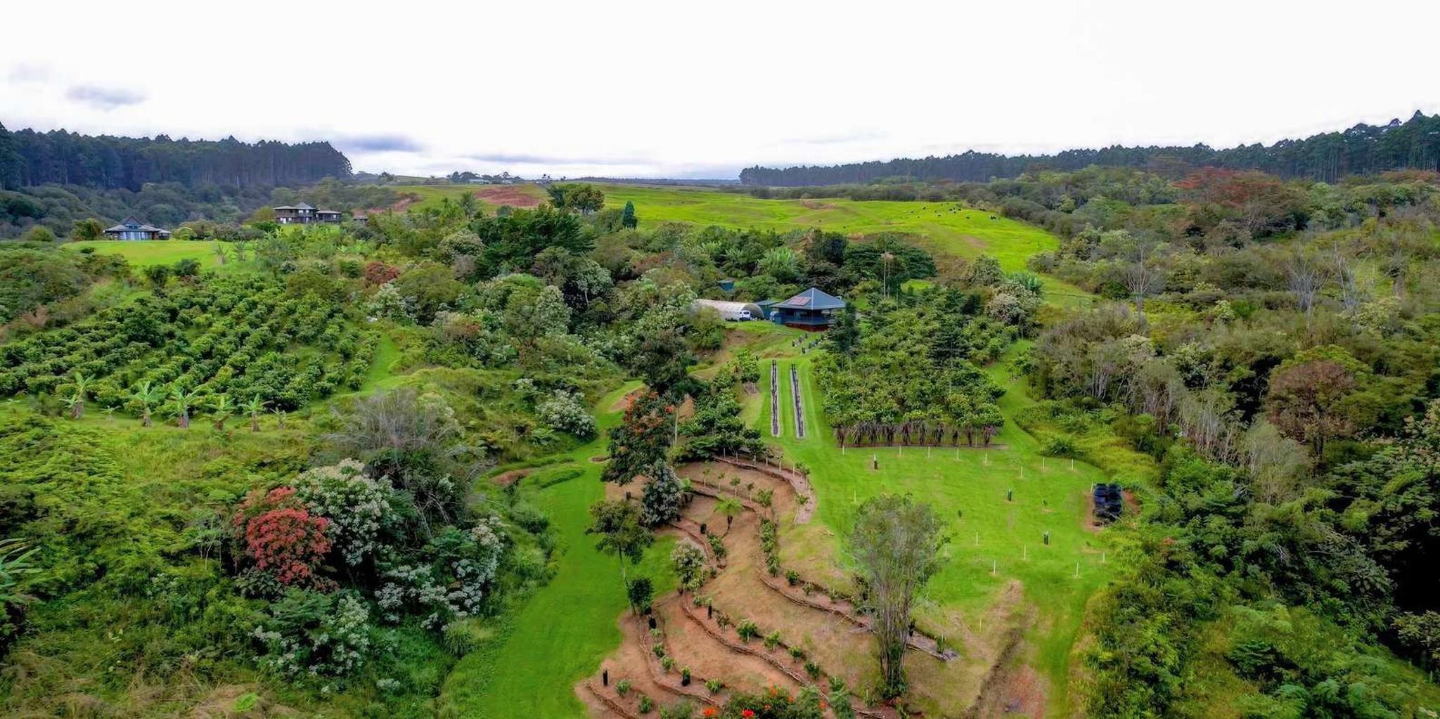 Hilo Craft Chocolate Tasting and Farm Tour - Image 2