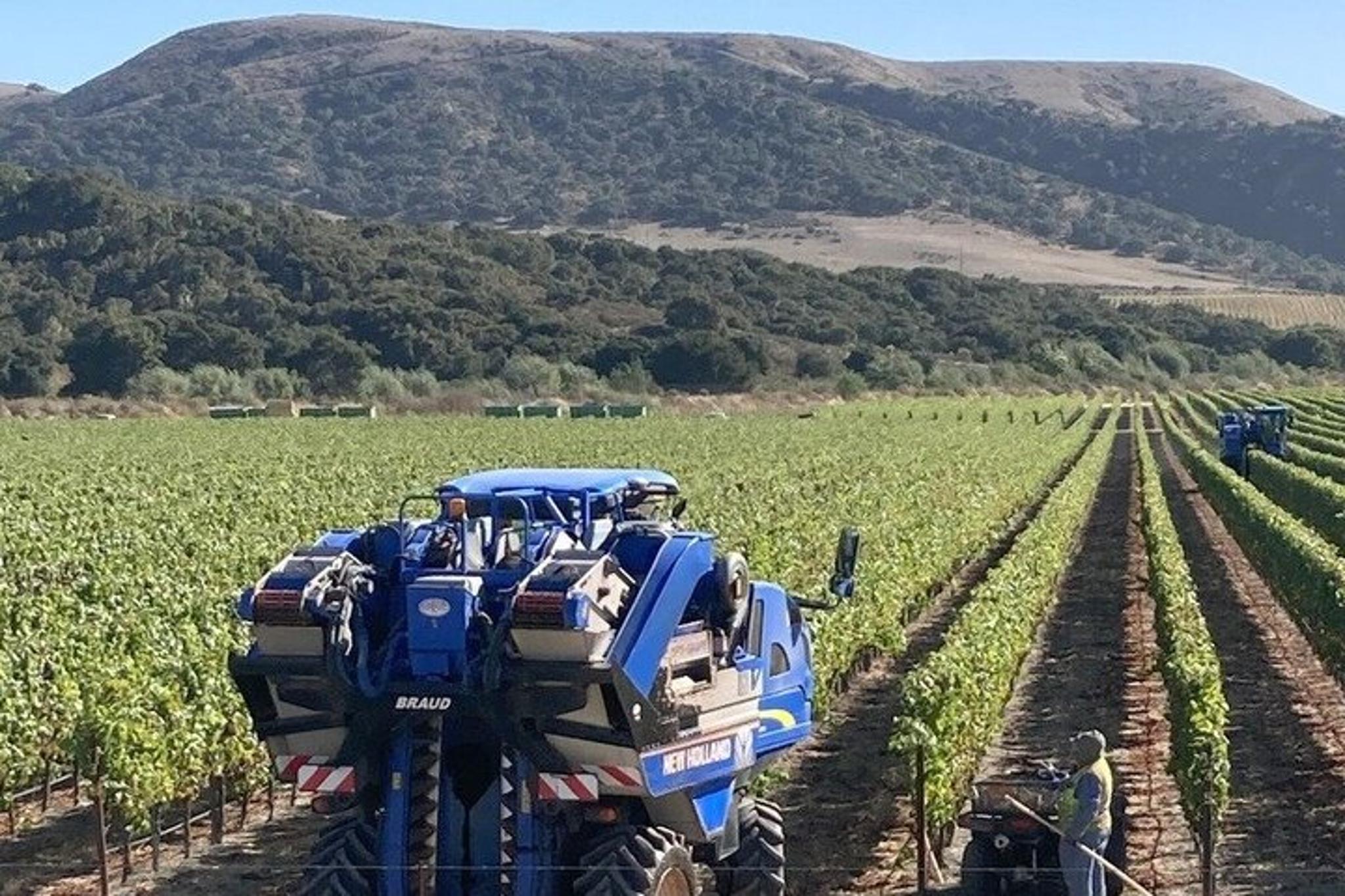 Santa Ynez Valley Wine Tour - Image 4