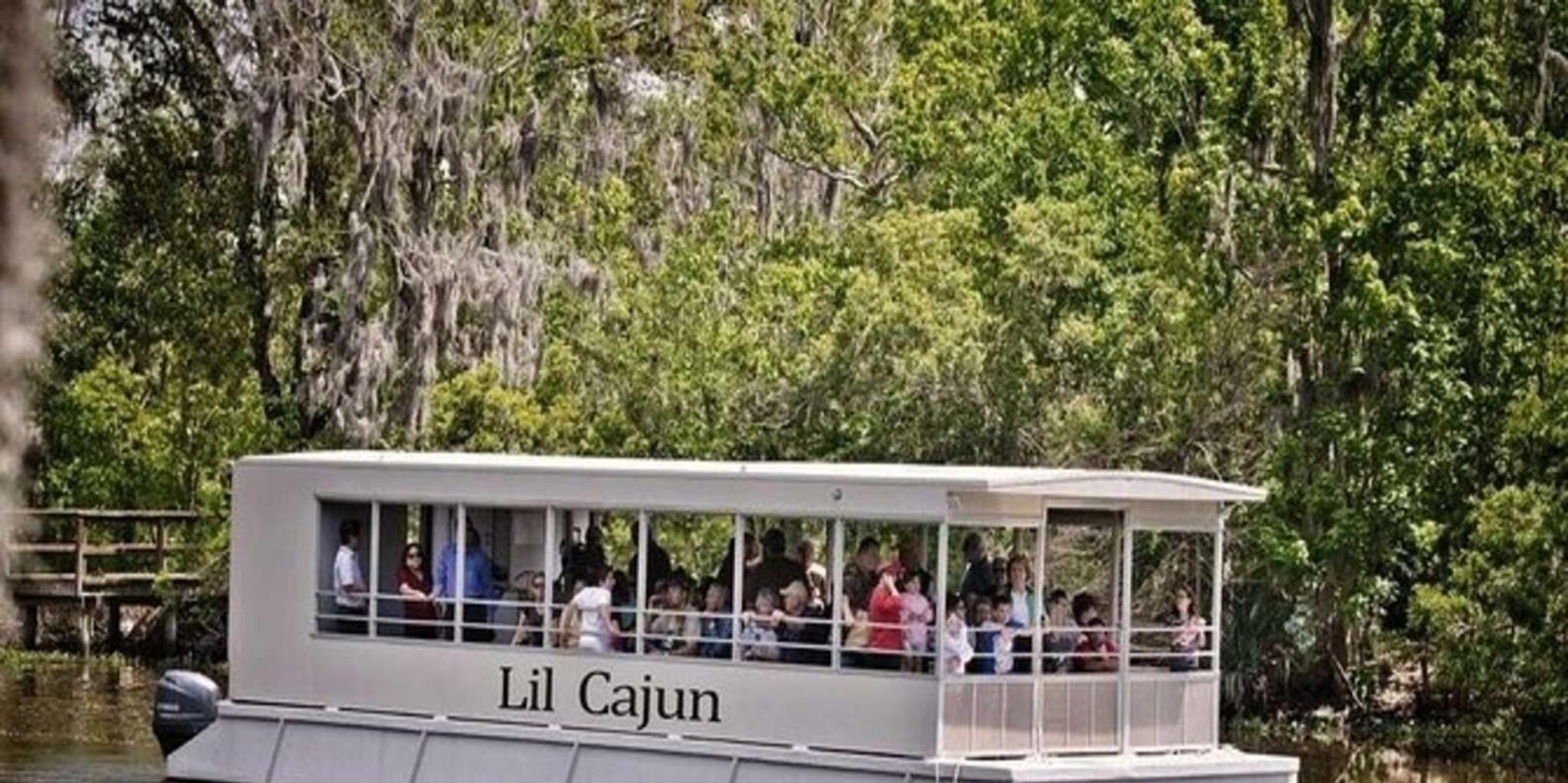 New Orleans Airboat or Pontoon Boat Cruise