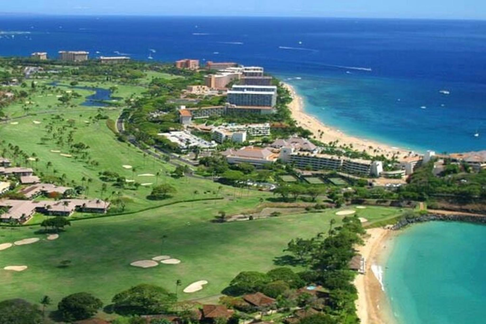 Maui Open-Air Banyan Tree & Blowhole Tour - Image 6