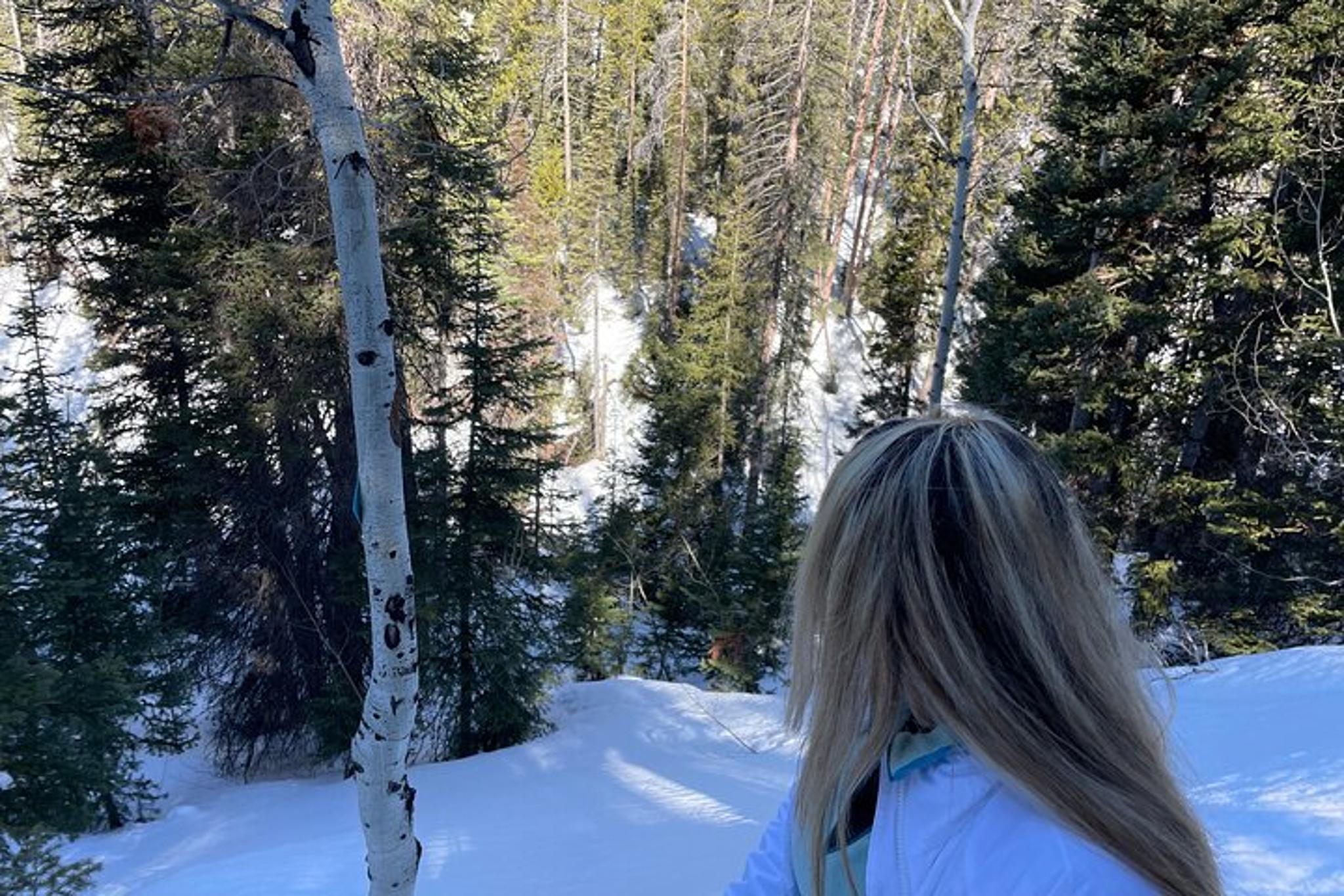 Utah Snowshoeing Adventure in Pristine Mountains - Image 4