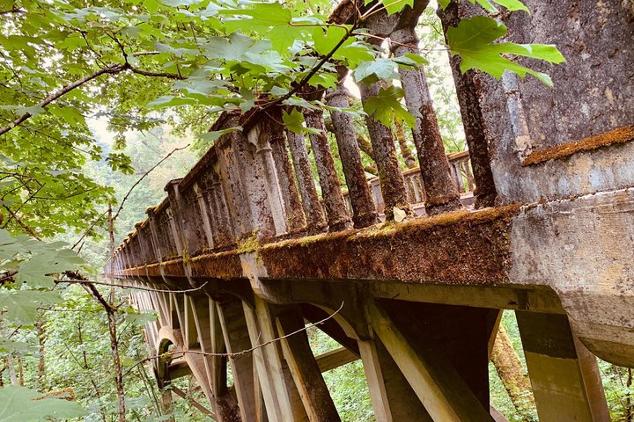 Portland Sightseeing Tour with Columbia Gorge Waterfalls - Image 6