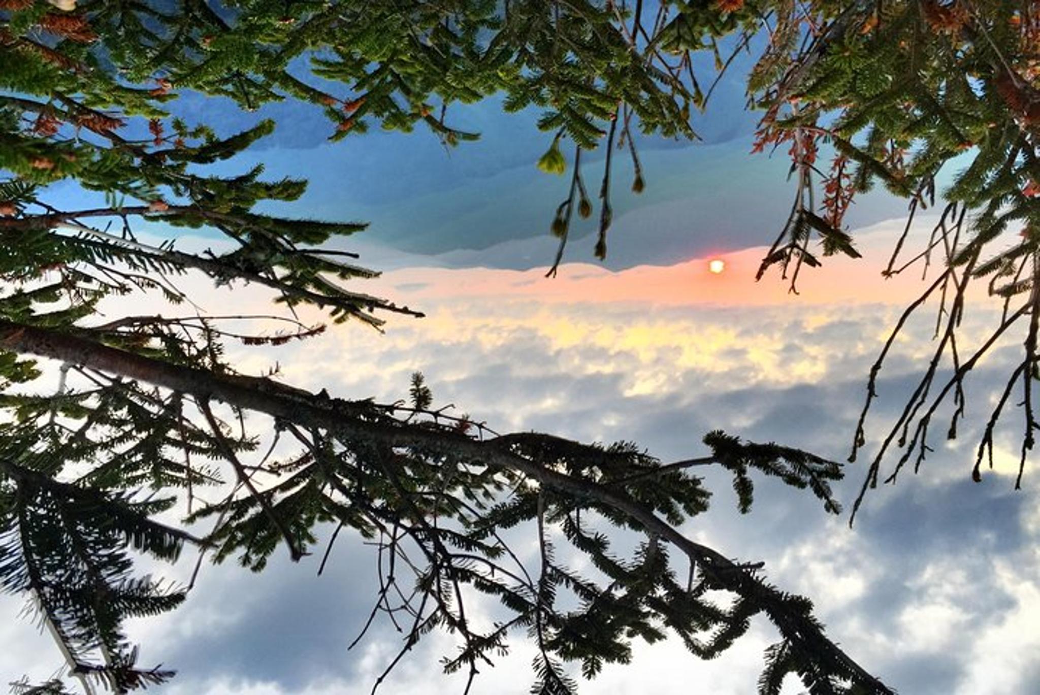 Smoky Mountains Fall Color Tour - Image 4