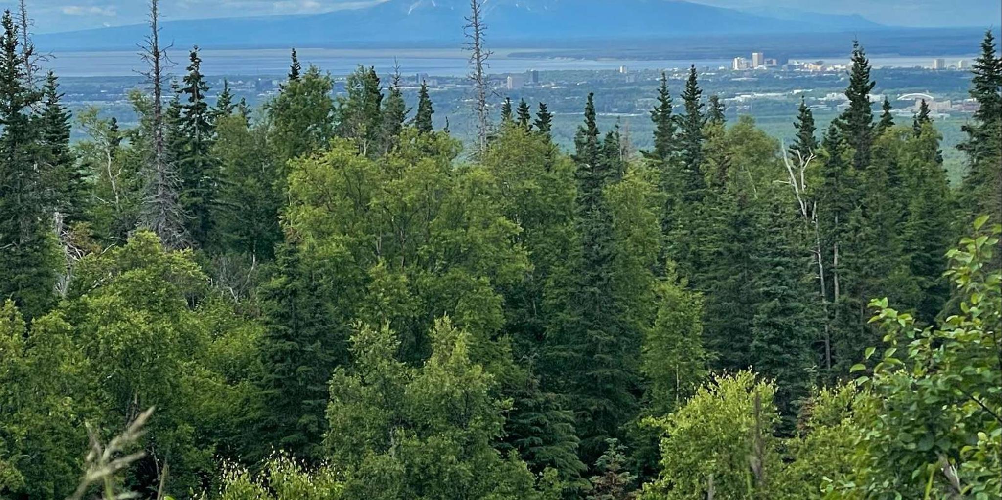 Anchorage City and Surroundings Tour 3 hr - Image 2