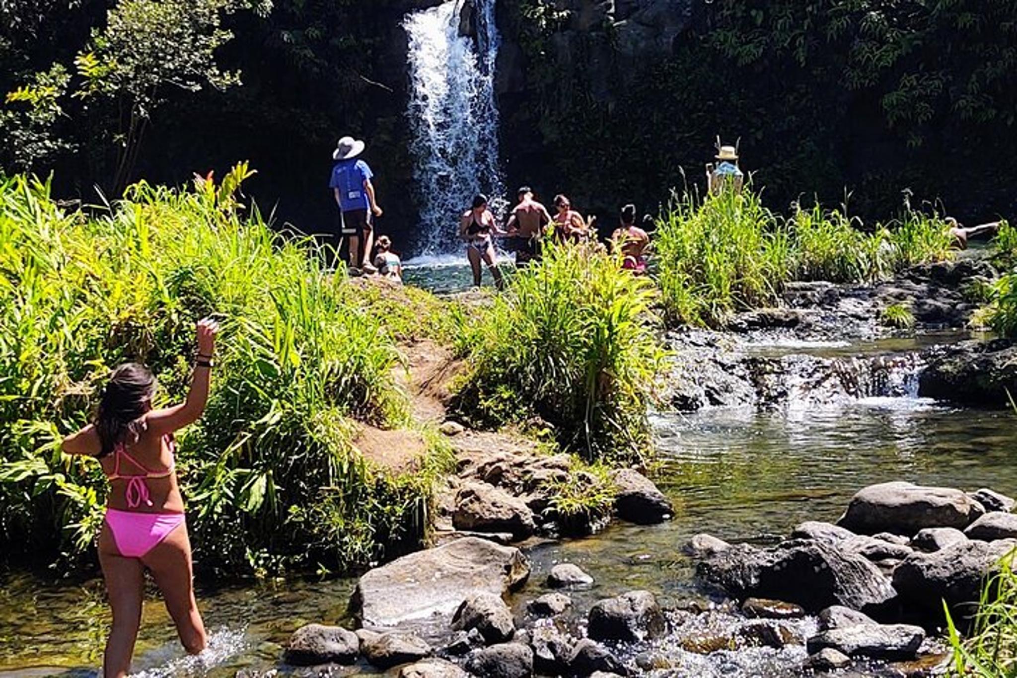 Maui Private Tour to Black Sand Beach and Waterfalls