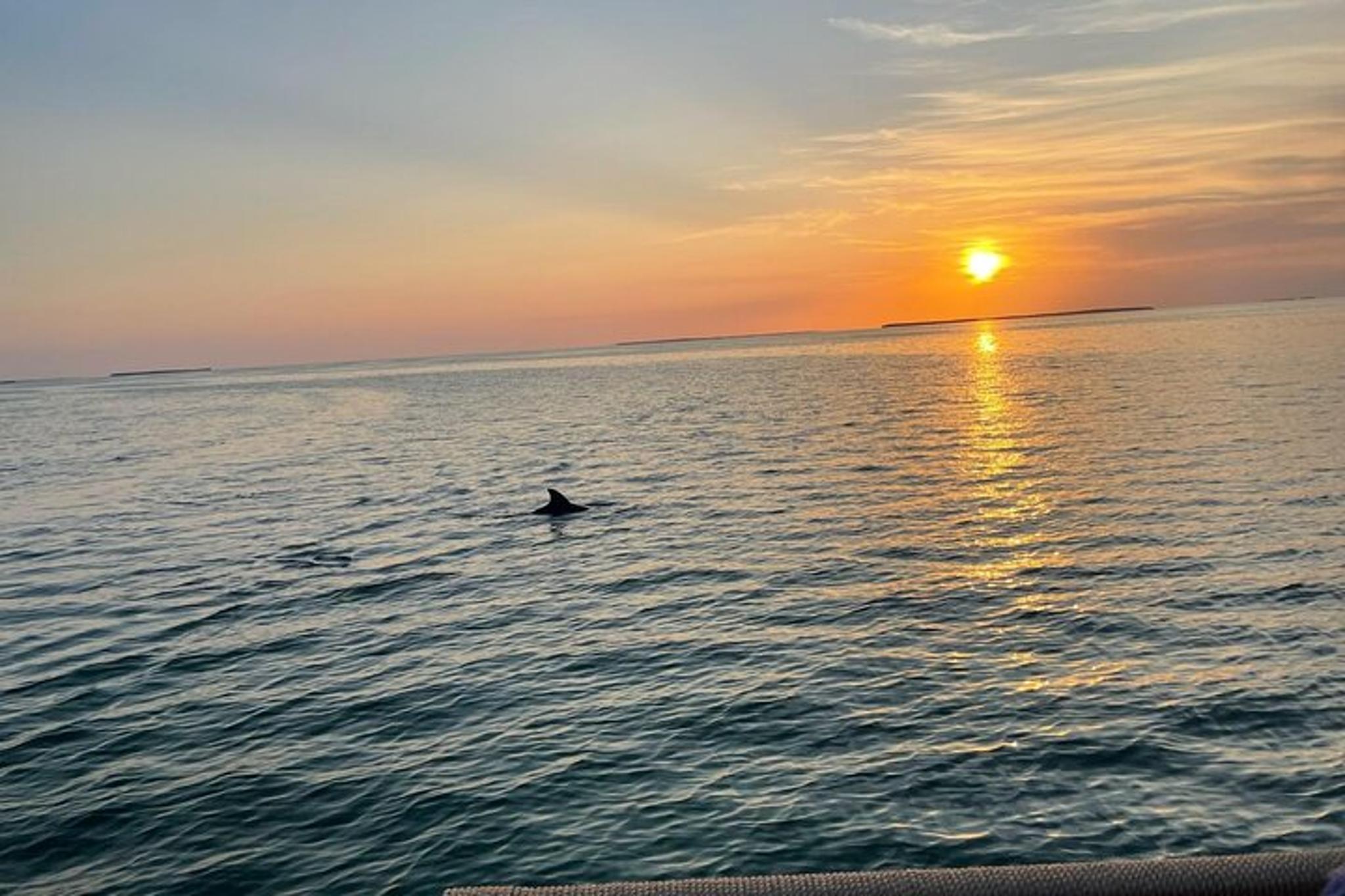 Islamorada Sunset Cruise - Image 5