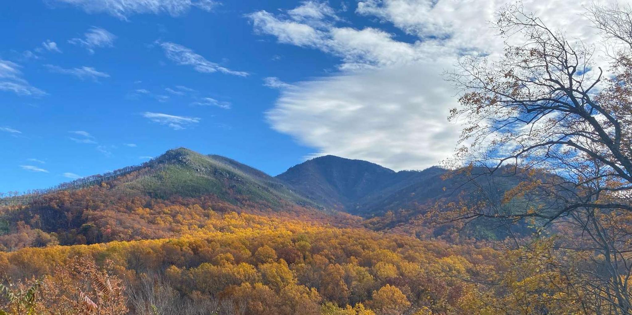 Gatlinburg Great Smoky Mountains National Park Tour 3 hr
