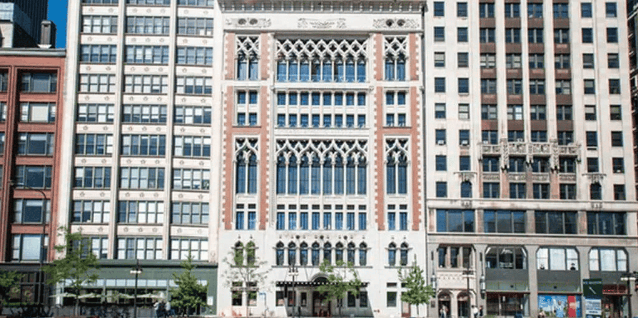 Chicago Downtown Walking Tour - Image 4