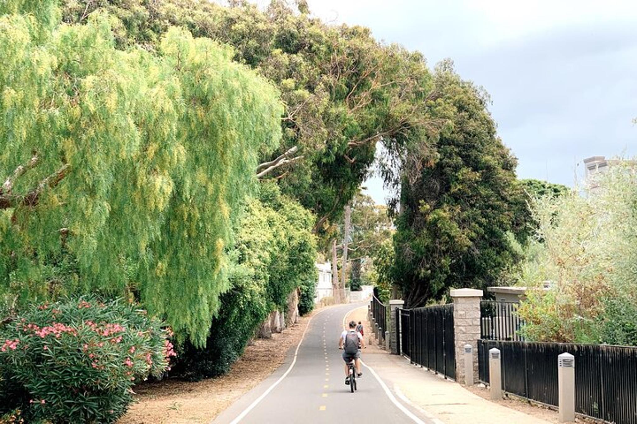Los Angeles Bike Tour in Beverly Hills and Venice - Image 4
