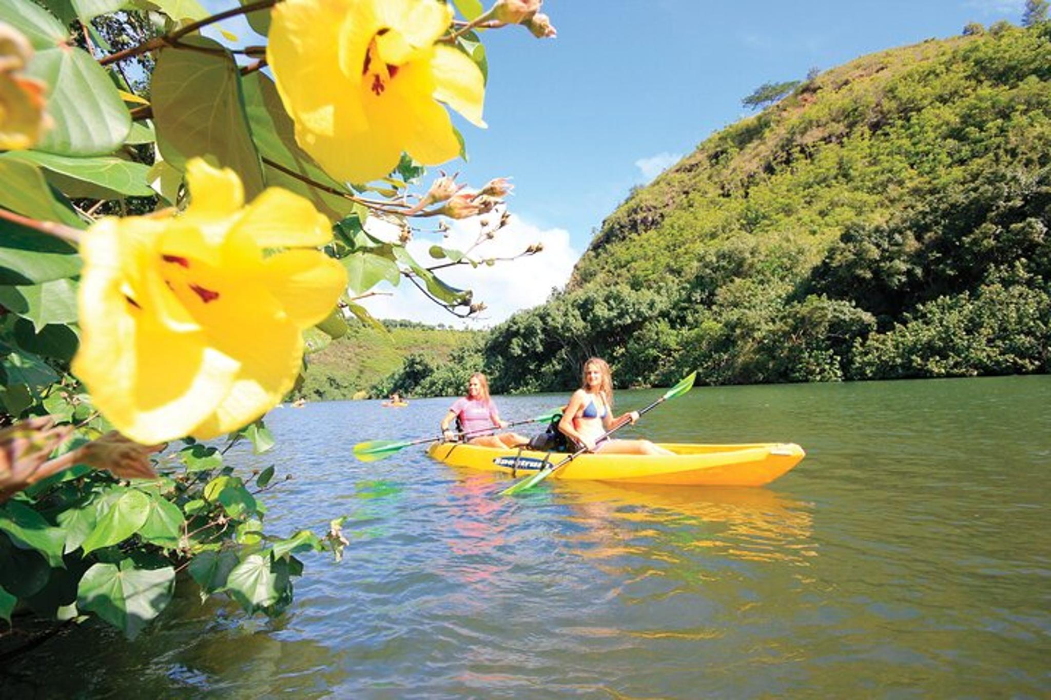 Kauai Secret Falls Kayak and Hike - Image 5
