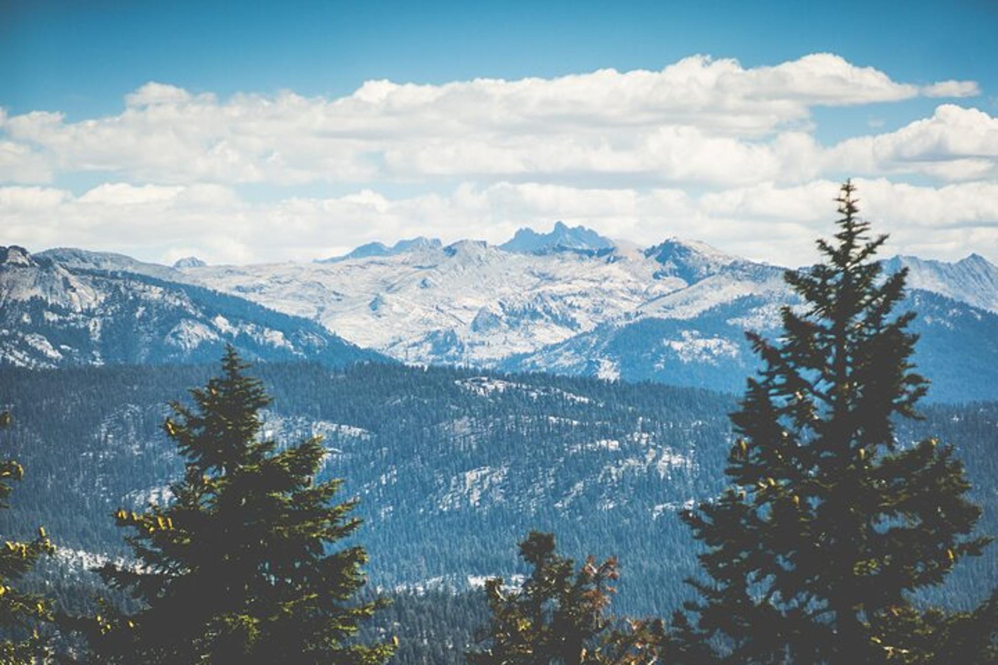 Sequoia & Kings Canyon Private Tour & Hike 2 Days - Image 4