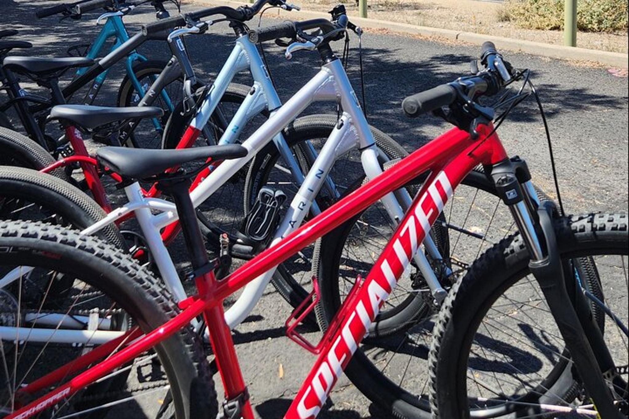 Tucson Bike Rental - Image 2