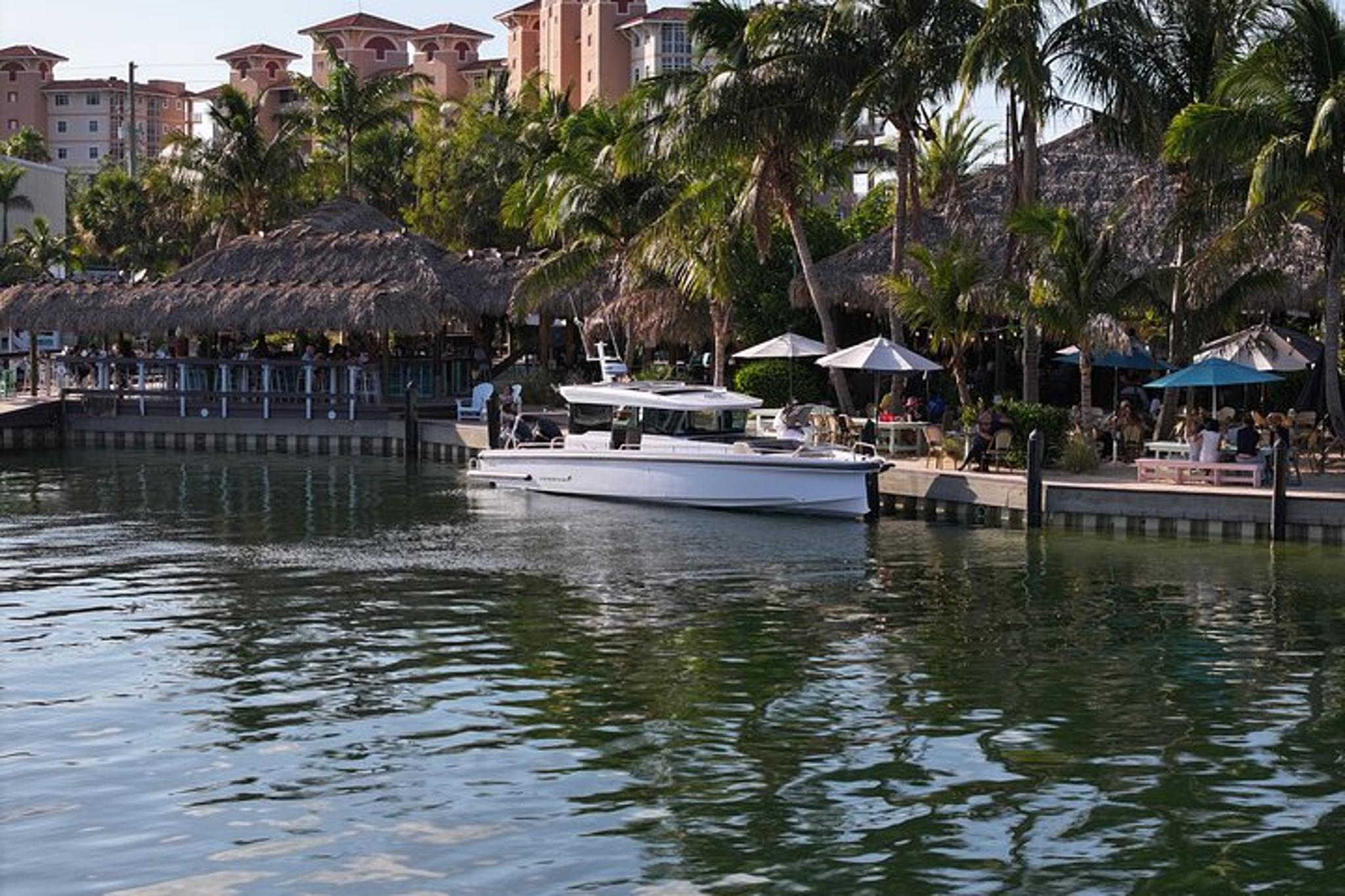 Tampa Boat Tour with Snorkeling 4 hr - Image 3