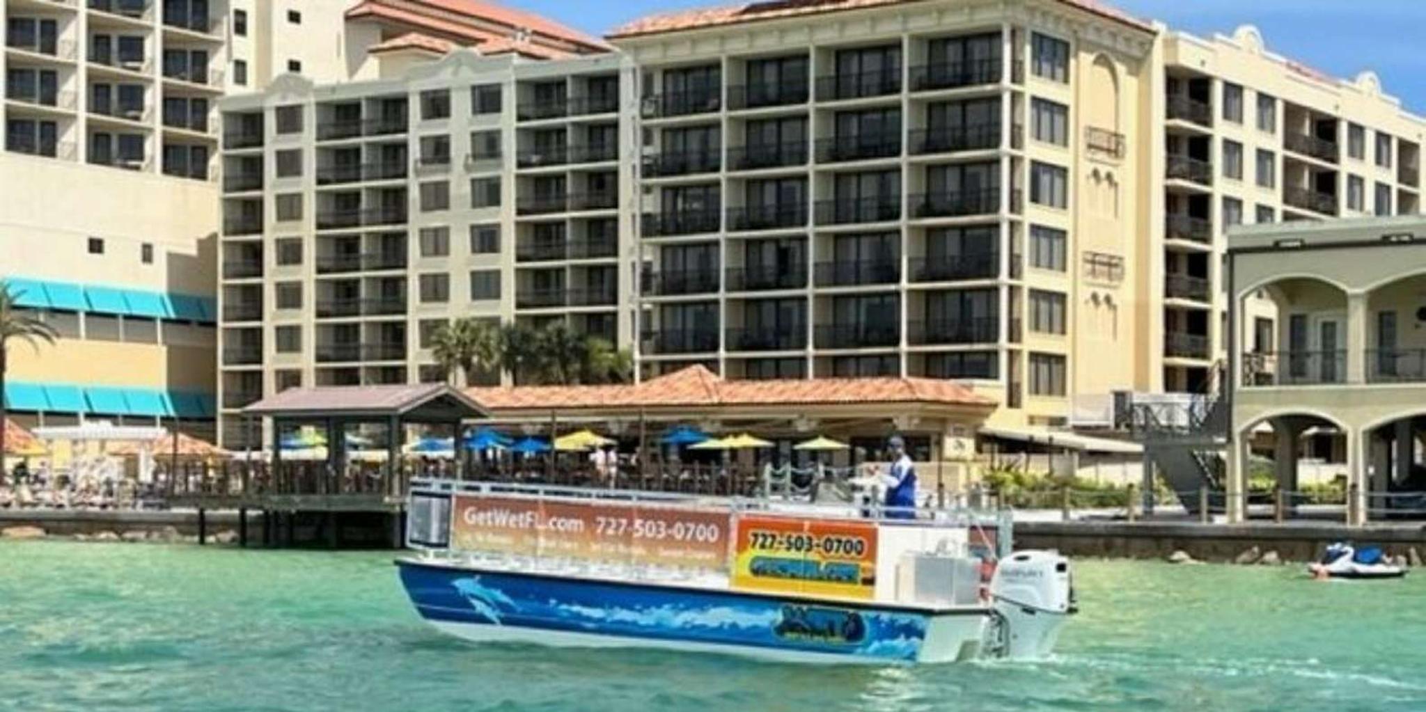 Clearwater Beach Dolphin-Watching Sunset Cruise 1.5 hr - Image 3