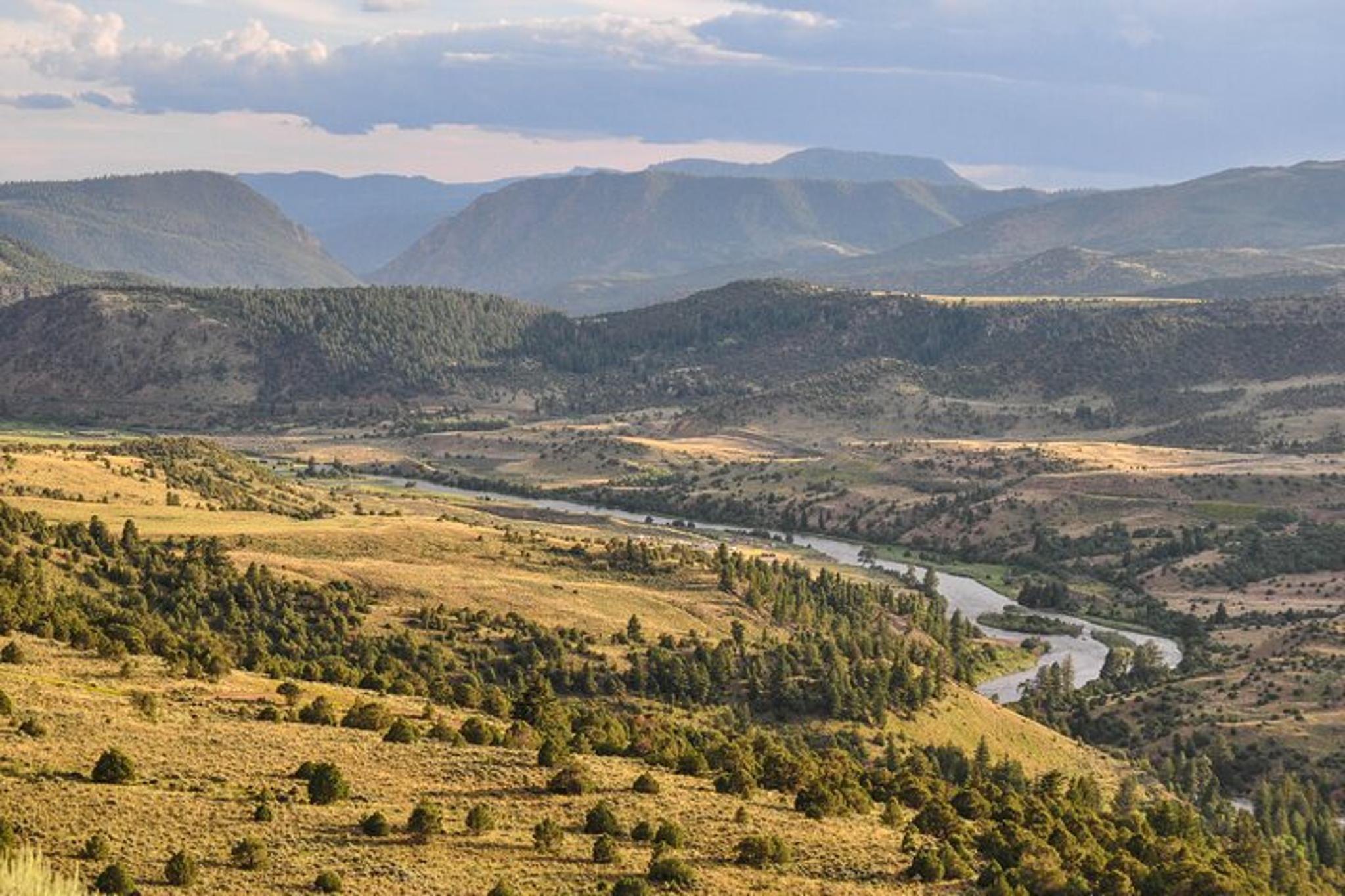 Colorado River Scenic Float Trip - Image 4
