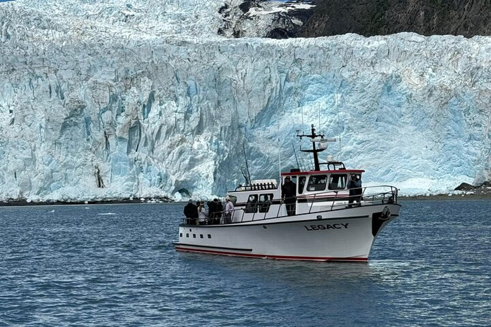 Kenai Fjords Whale Watching and Fishing Tour