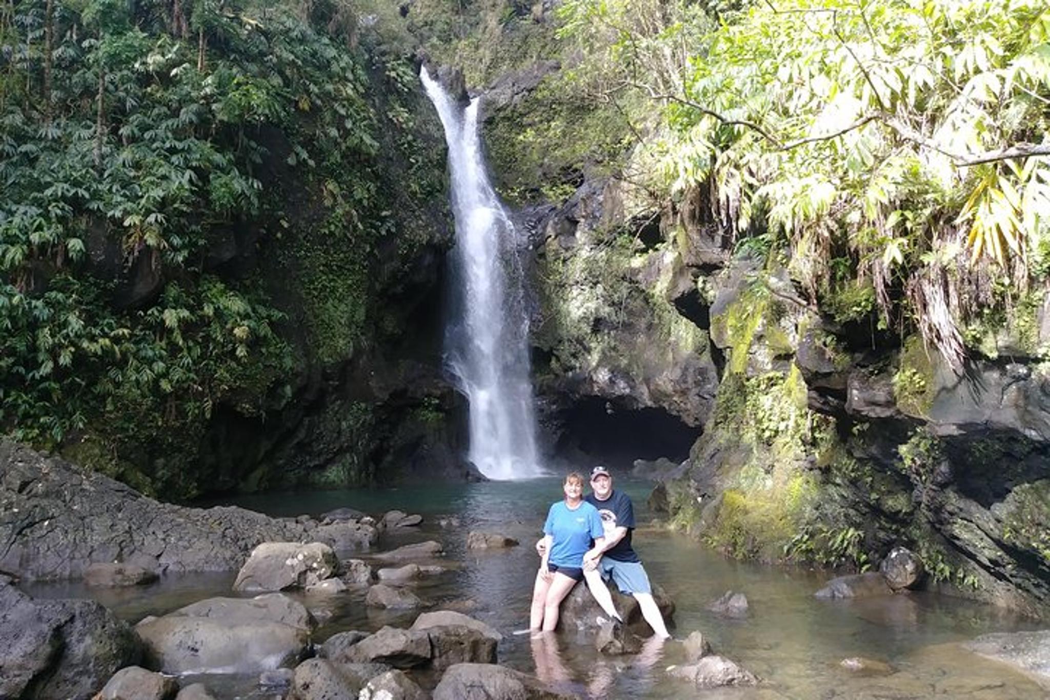 Maui Waterfall Hiking Tour in Private Jeep - Image 4