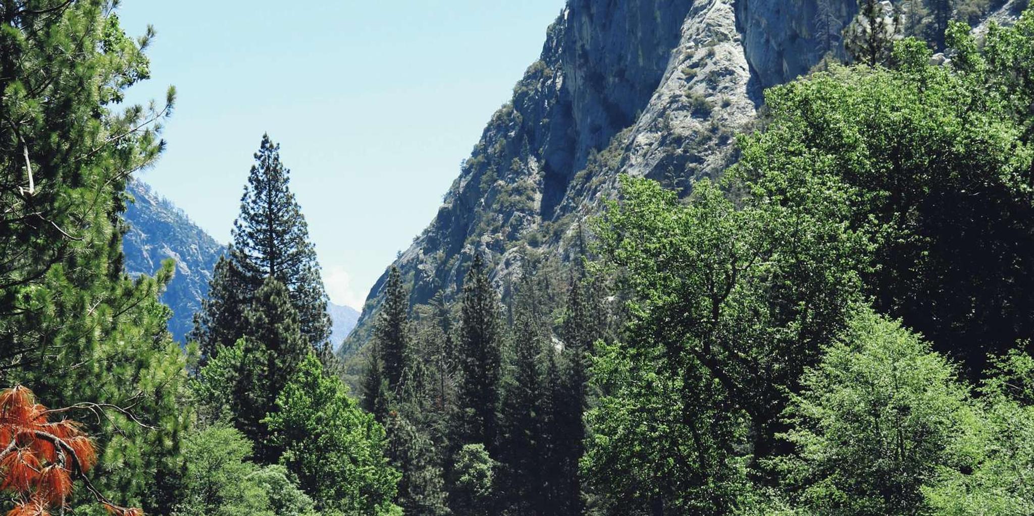 San Francisco to Los Angeles National Parks Tour - Image 2