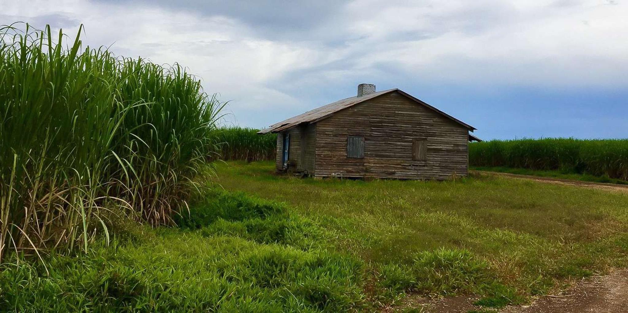 New Orleans Airboat and Destrehan Plantation Tour - Image 6