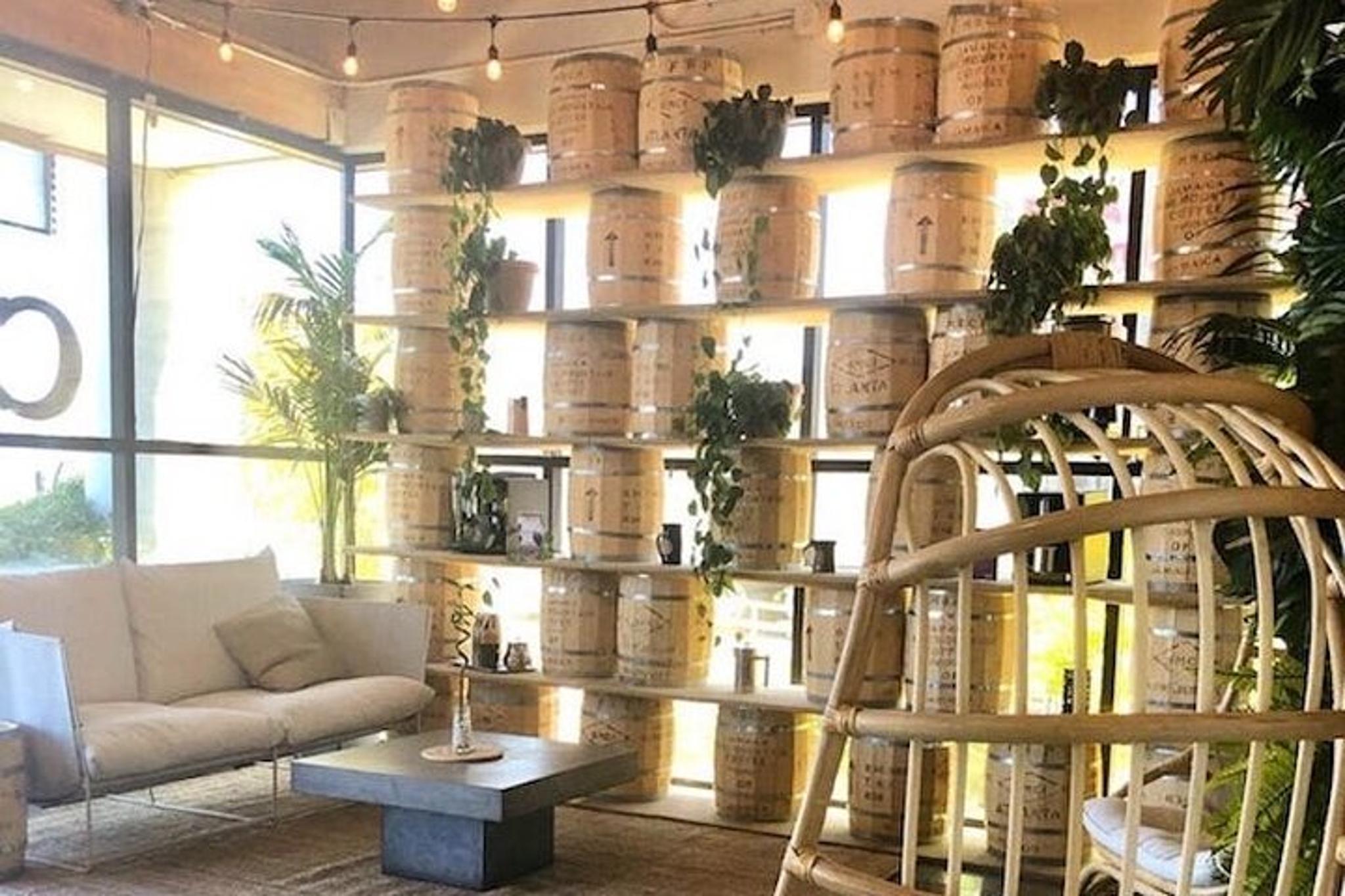 Las Vegas Jeep Tour with Lunch - Image 2