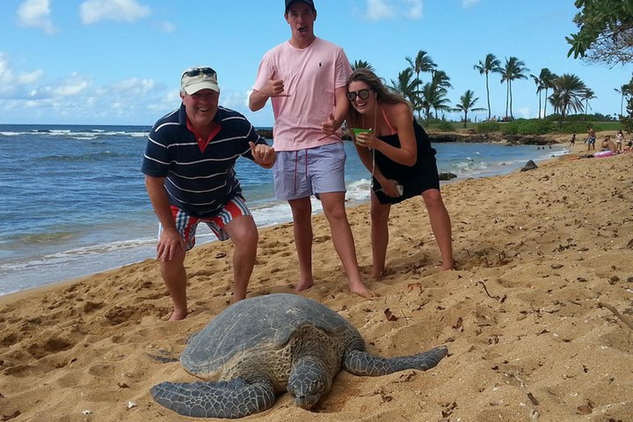 Oahu North Shore Convertible Tour - Image 2