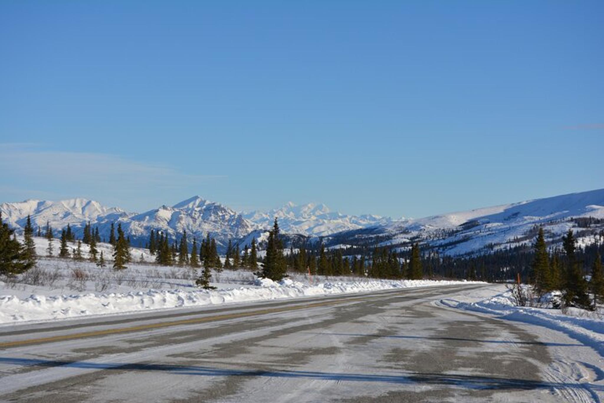 Fairbanks Denali Winter Drive 10 Hours - Image 4