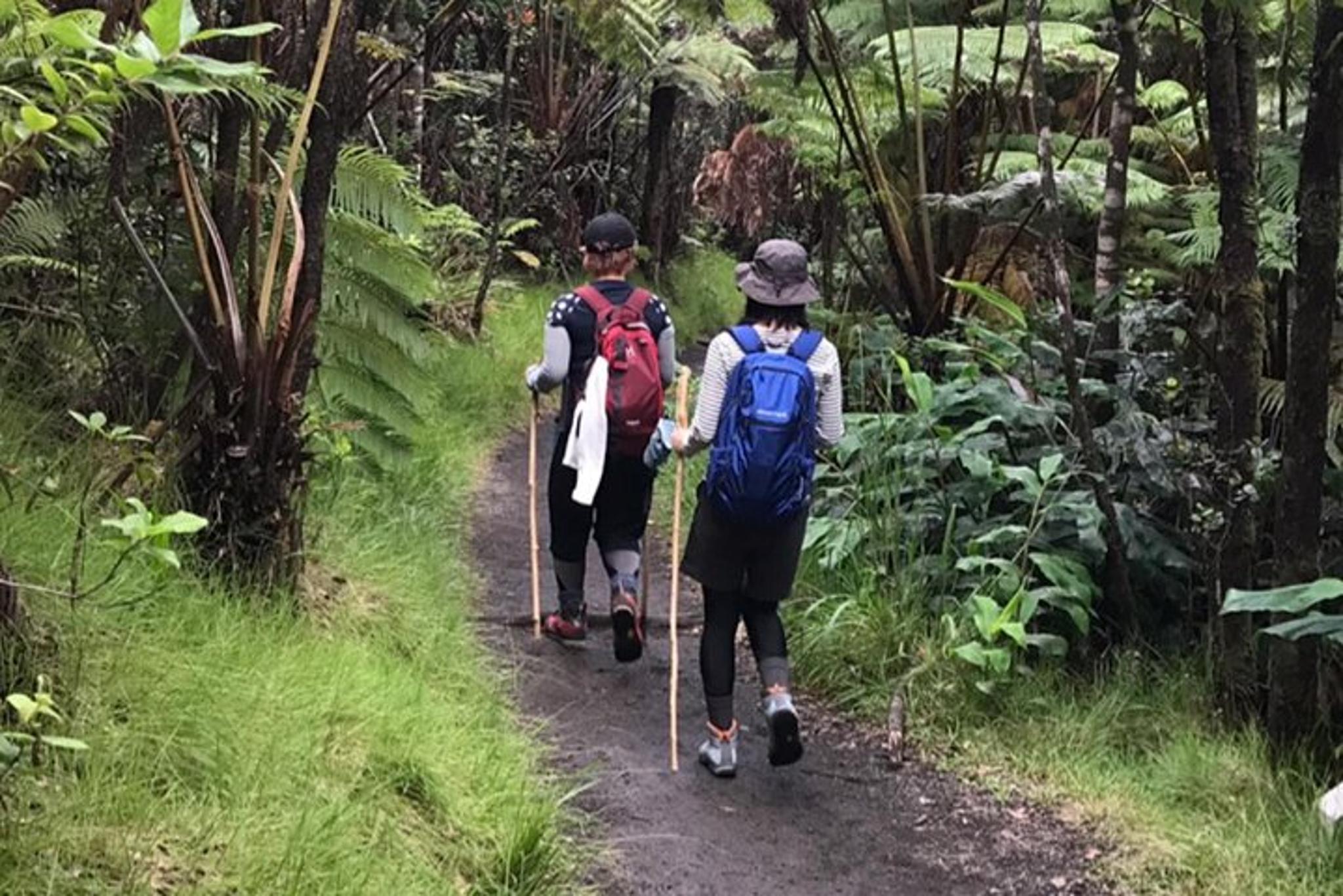 Hawaii Volcano Hiking Adventure - Image 2