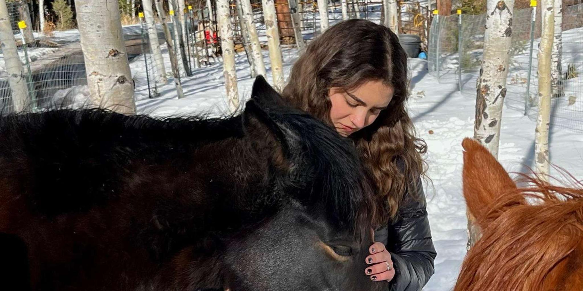 Colorado Springs Mindfulness with Rescue Mustangs - Image 2