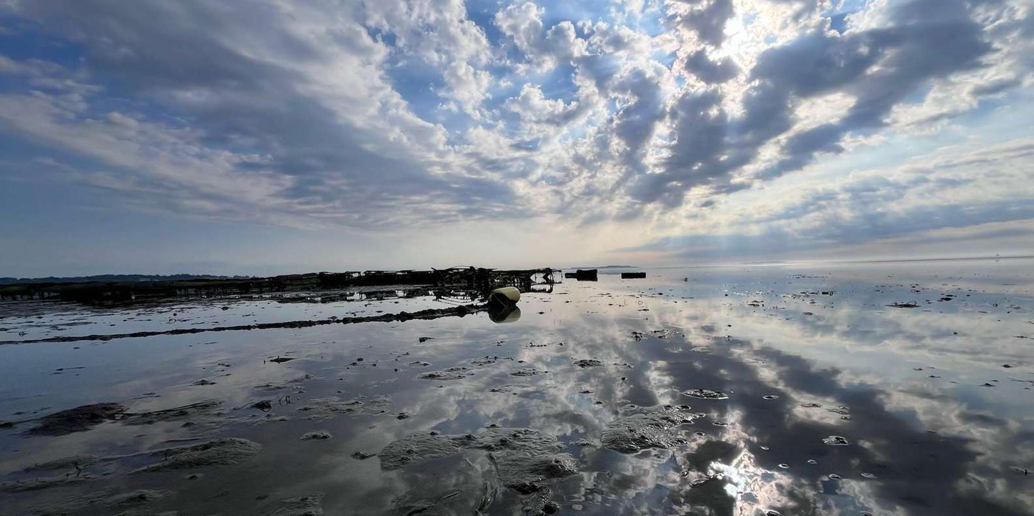 Plymouth Oyster Farm Boat Tour with Tasting - Image 5