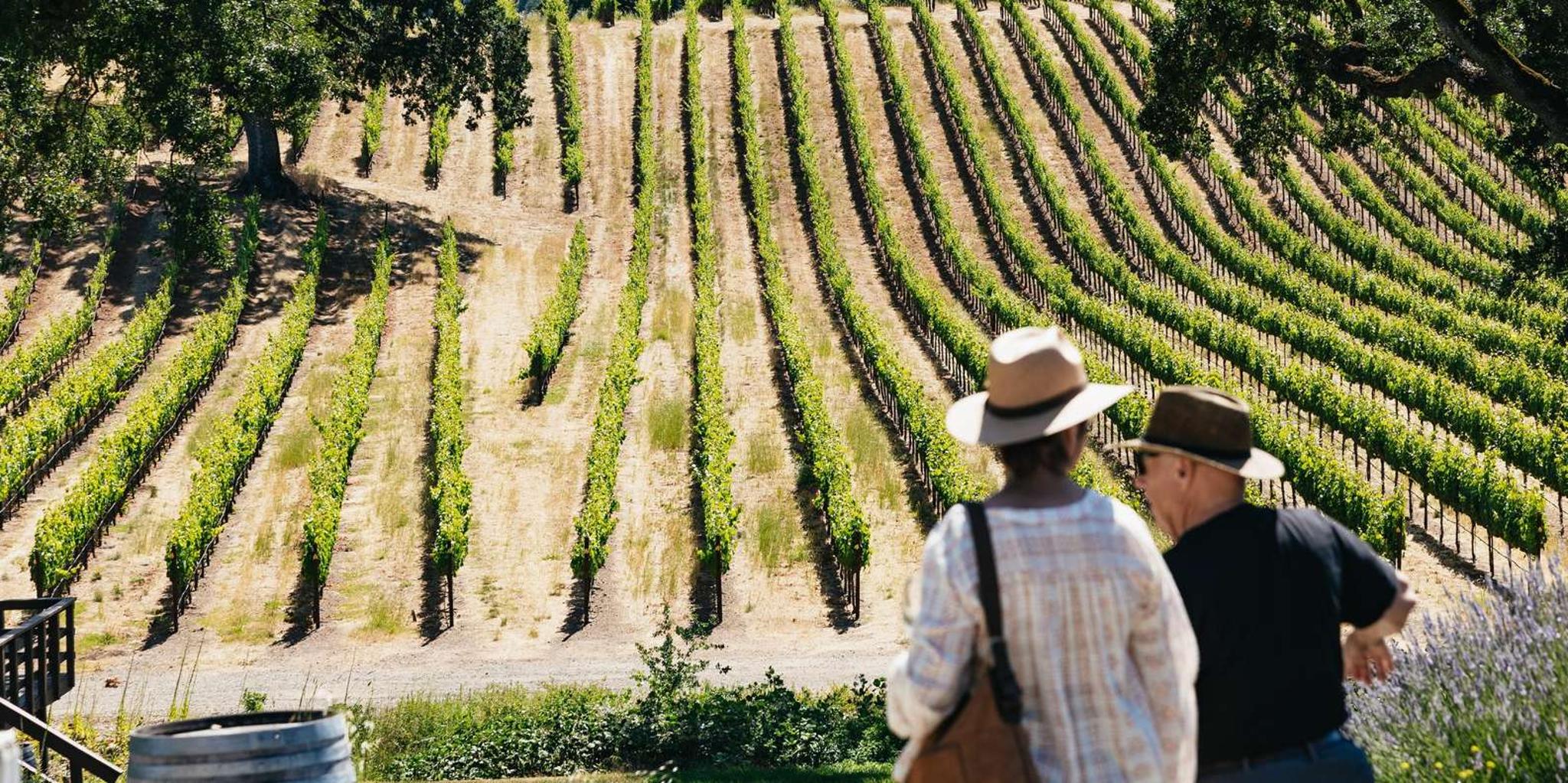 San Francisco Napa and Sonoma Wine Tour